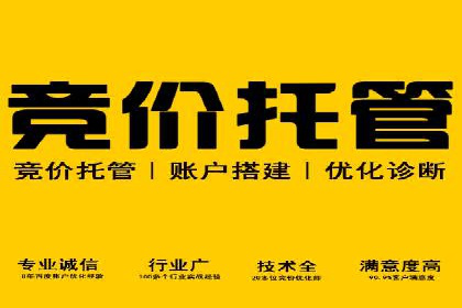 百度推广费用投入与品牌知名度提升的案例分析